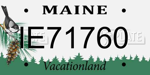 IE71760 Maine License Plate