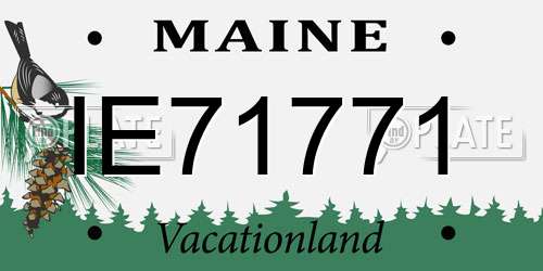 IE71771 Maine License Plate
