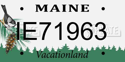 IE71963 Maine License Plate