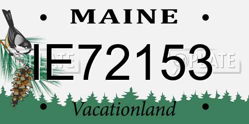 IE72153 Maine License Plate