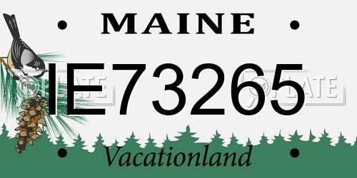 IE73265 Maine License Plate