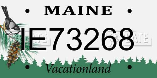 IE73268 Maine License Plate