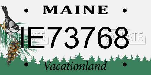 IE73768 Maine License Plate