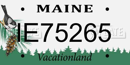 IE75265 Maine License Plate