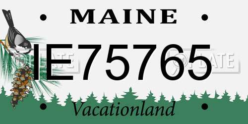 IE75765 Maine License Plate