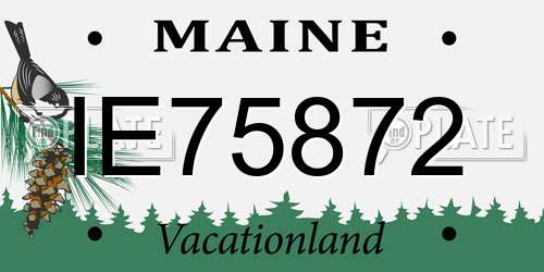 IE75872 Maine License Plate