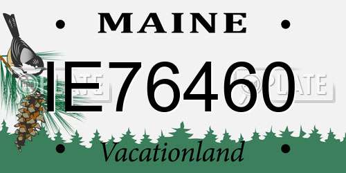 IE76460 Maine License Plate