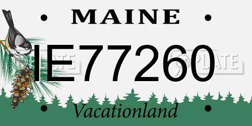 IE77260 Maine License Plate