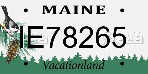 IE78265 Maine License Plate
