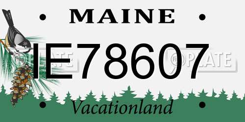 IE78607 Maine License Plate