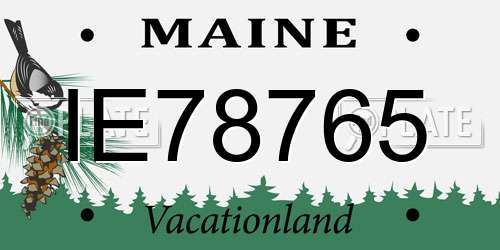 IE78765 Maine License Plate