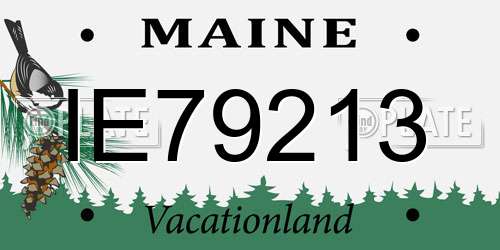 IE79213 Maine License Plate