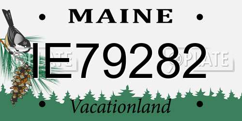 IE79282 Maine License Plate