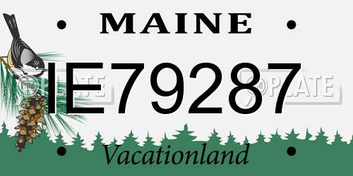 IE79287 Maine License Plate