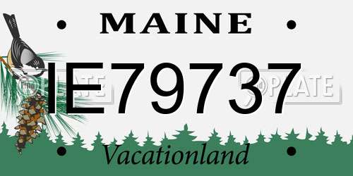 IE79737 Maine License Plate