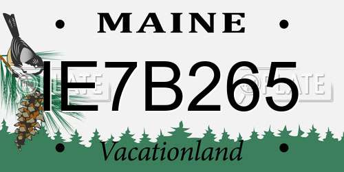 IE7B265 Maine License Plate