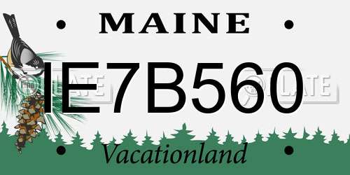 IE7B560 Maine License Plate