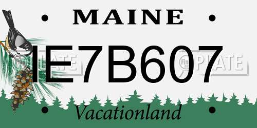 IE7B607 Maine License Plate