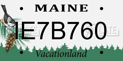 IE7B760 Maine License Plate