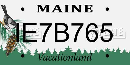 IE7B765 Maine License Plate