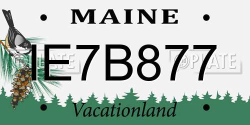 IE7B877 Maine License Plate