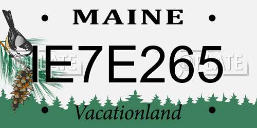 IE7E265 Maine License Plate