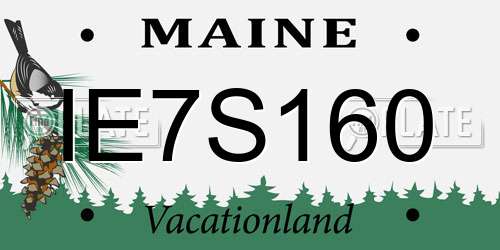 IE7S160 Maine License Plate