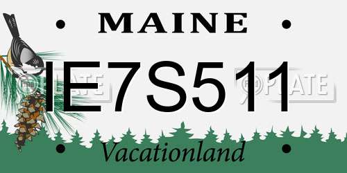 IE7S511 Maine License Plate