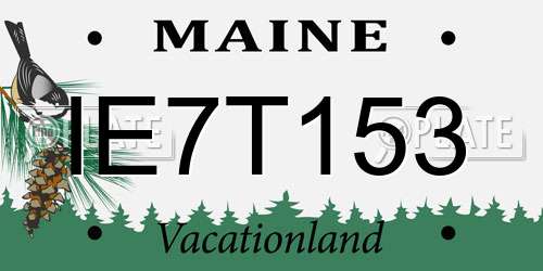 IE7T153 Maine License Plate