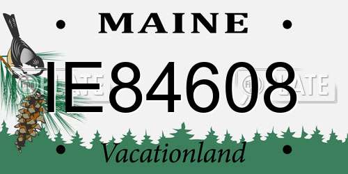 IE84608 Maine License Plate