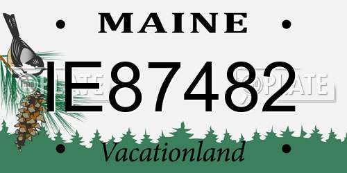 IE87482 Maine License Plate