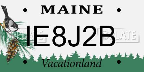 IE8J2B Maine License Plate
