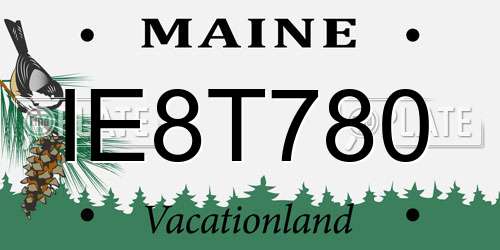 IE8T780 Maine License Plate