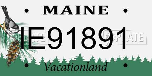 IE91891 Maine License Plate