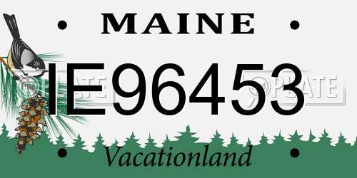 IE96453 Maine License Plate
