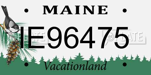 IE96475 Maine License Plate