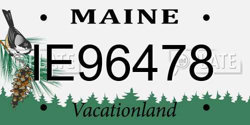 IE96478 Maine License Plate
