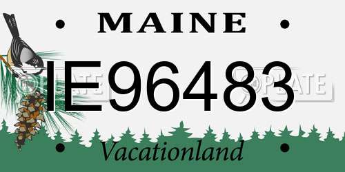 IE96483 Maine License Plate