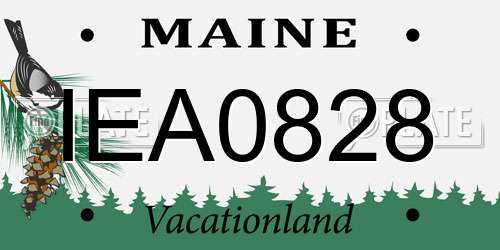 IEA0828 Maine License Plate