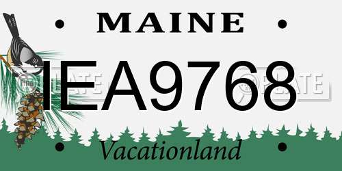 IEA9768 Maine License Plate