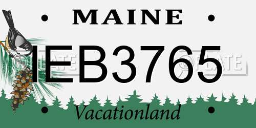 IEB3765 Maine License Plate