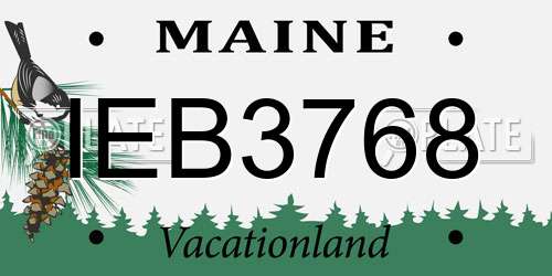 IEB3768 Maine License Plate