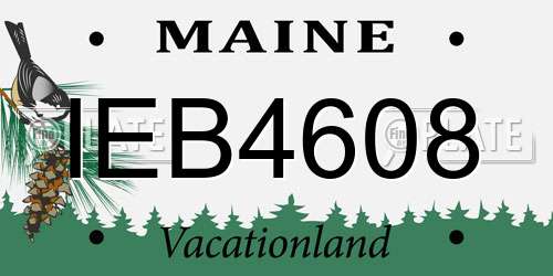 IEB4608 Maine License Plate