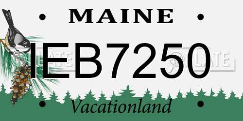 IEB7250 Maine License Plate