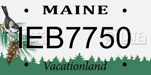 IEB7750 Maine License Plate