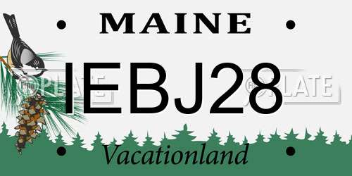 IEBJ28 Maine License Plate
