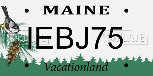IEBJ75 Maine License Plate