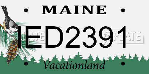 IED2391 Maine License Plate