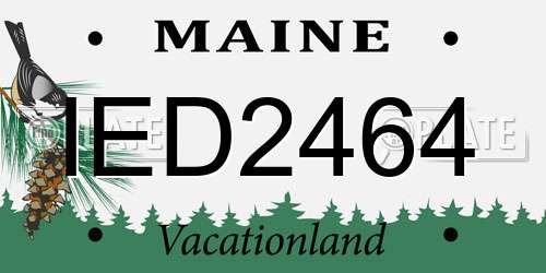 IED2464 Maine License Plate