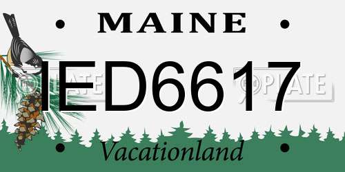 IED6617 Maine License Plate